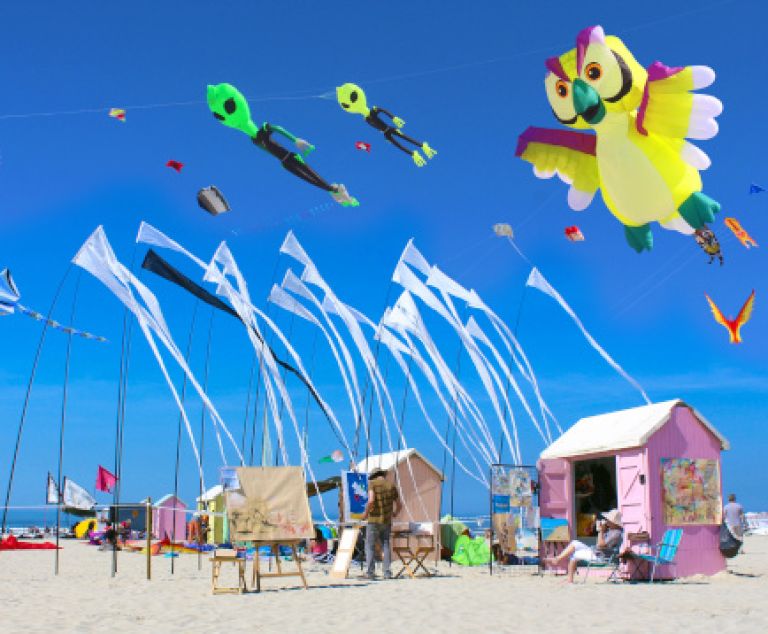 Rencontres Internationales de Cerfs-Volants à Berck-sur-Mer