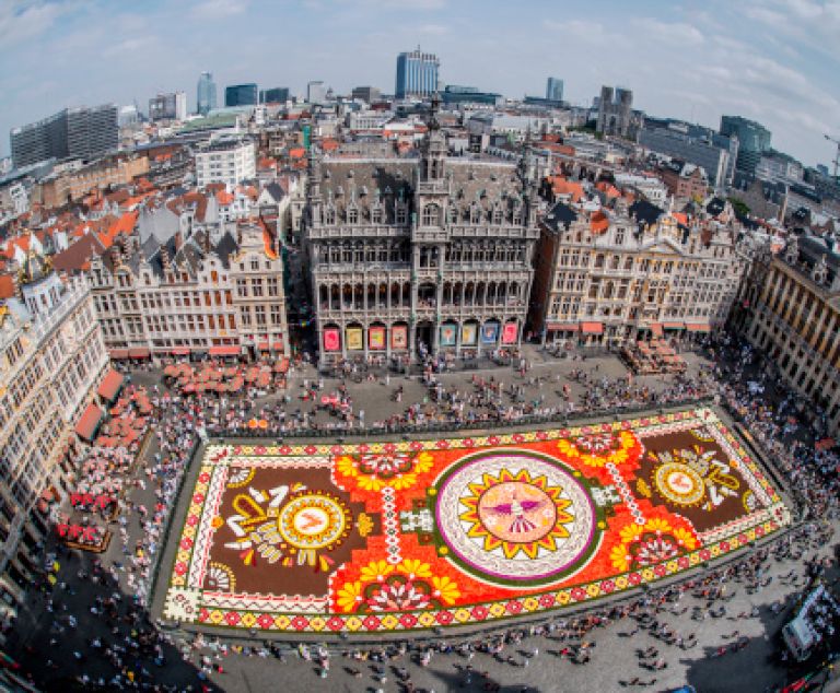 Bruxelles tapis de fleurs géant