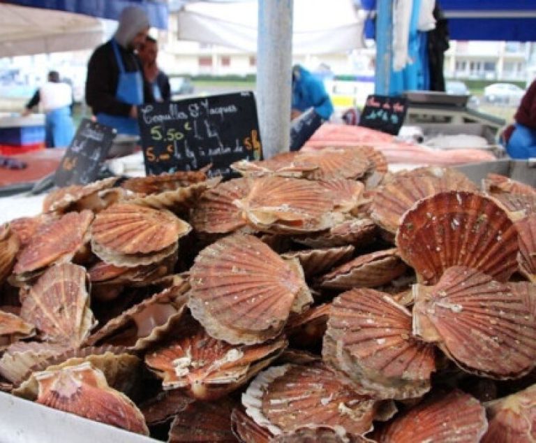 Fête de la Saint Jacques - Etaples sur Mer